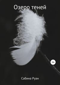 Обложка книги «Озеро теней»