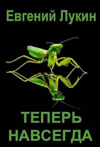 Обложка книги «Теперь навсегда»