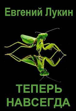 Обложка книги «Теперь навсегда»