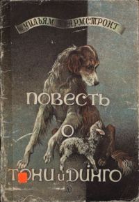 Обложка книги «Повесть о Тони и Динго»