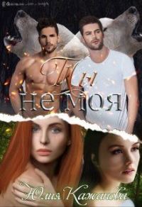 Обложка книги «Ты не моя»
