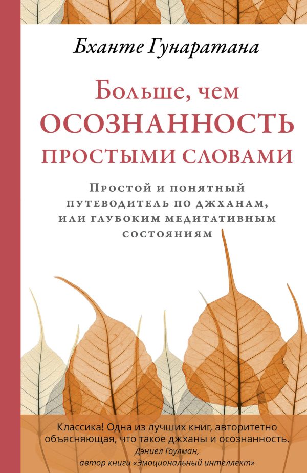 Обложка книги «Больше, чем осознанность простыми словами. Простой и понятный путеводитель по джханам, или глубоким медитативным состояниям»
