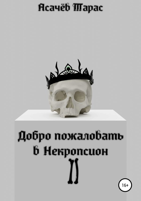 Обложка книги «Добро пожаловать в Некропсион II»