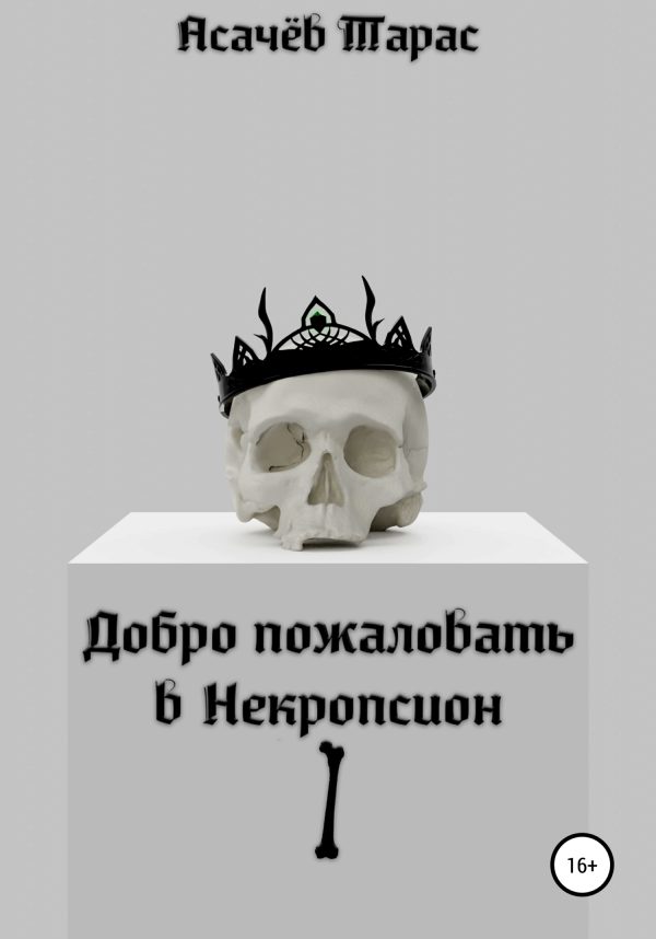 Обложка книги «Добро пожаловать в Некропсион I»