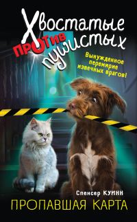 Обложка книги «Пропавшая карта»