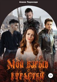 Обложка книги «Мой взрыв страстей»