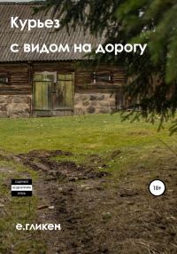 Обложка книги «Курьёз с видом на дорогу»