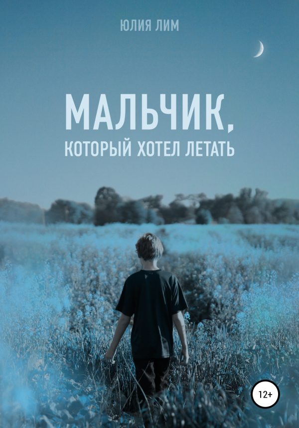 Обложка книги «Мальчик, который хотел летать»