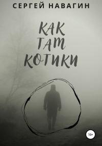 Обложка книги «Как там котики»