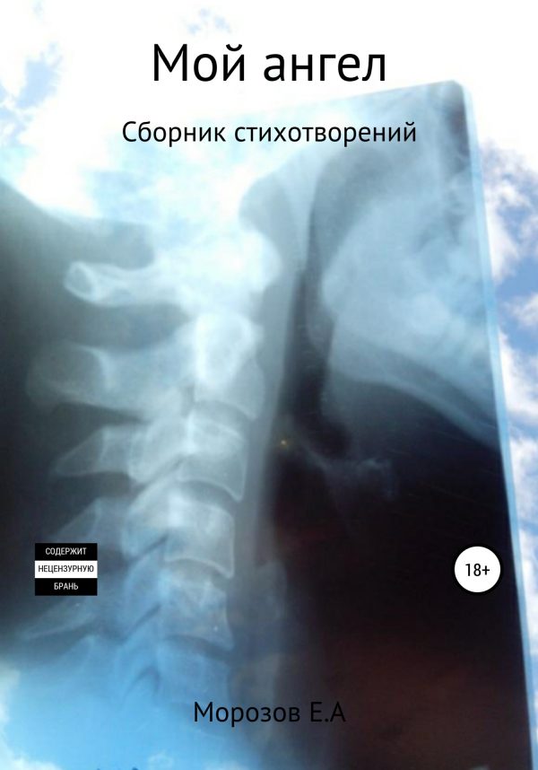 Обложка книги «Мой ангел»