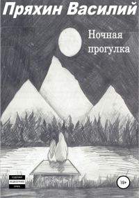 Обложка книги «Ночная прогулка»