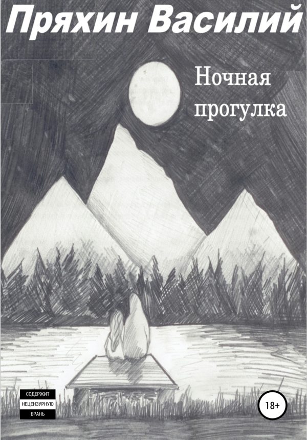 Обложка книги «Ночная прогулка»