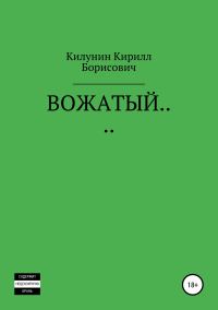 Обложка книги «Вожатый…»