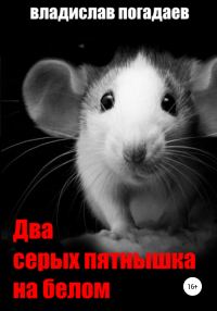 Обложка книги «Два серых пятнышка на белом»