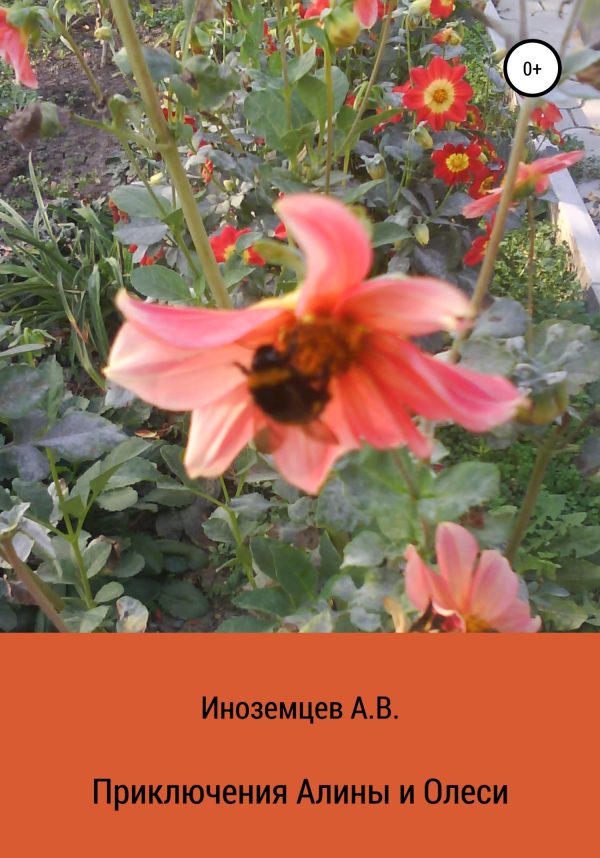 Обложка книги «Приключения Алины и Олеси»
