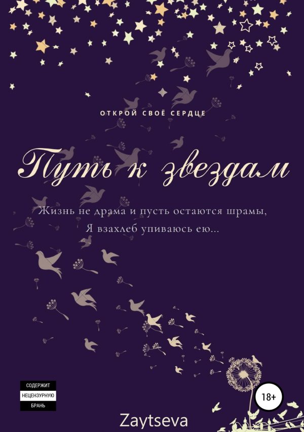 Обложка книги «Путь к звёздам»