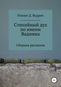 Обложка книги «Стихийный дух по имени Вадимка. Сборник рассказов»