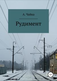 Обложка книги «Рудимент»