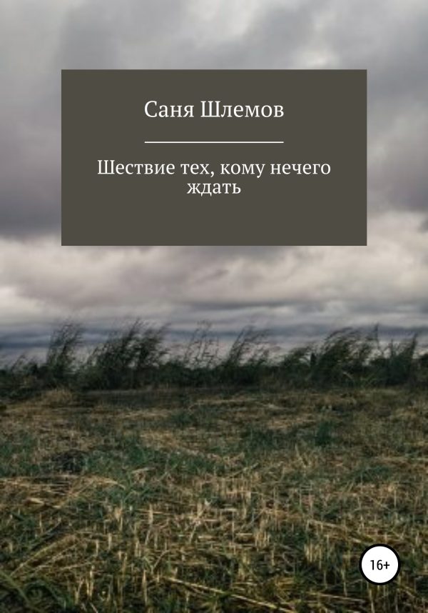 Обложка книги «Шествие тех, кому нечего ждать…»