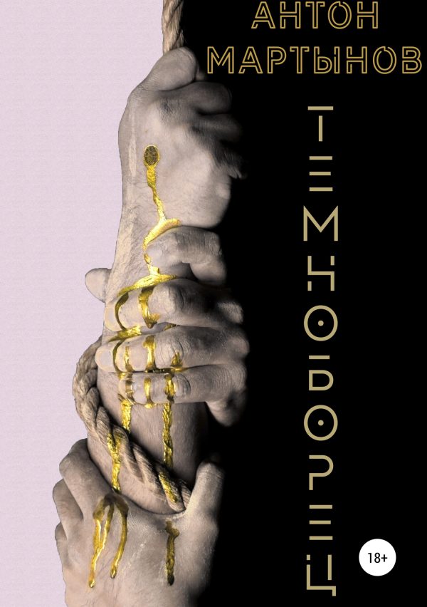 Обложка книги «Темноборец»