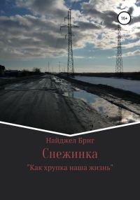 Обложка книги «Снежинка»