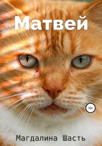 Обложка книги «Матвей»