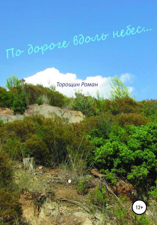Обложка книги «По дороге вдоль небес»