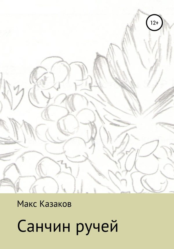 Обложка книги «Санчин ручей»