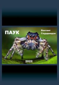 Обложка книги «Паук 1»