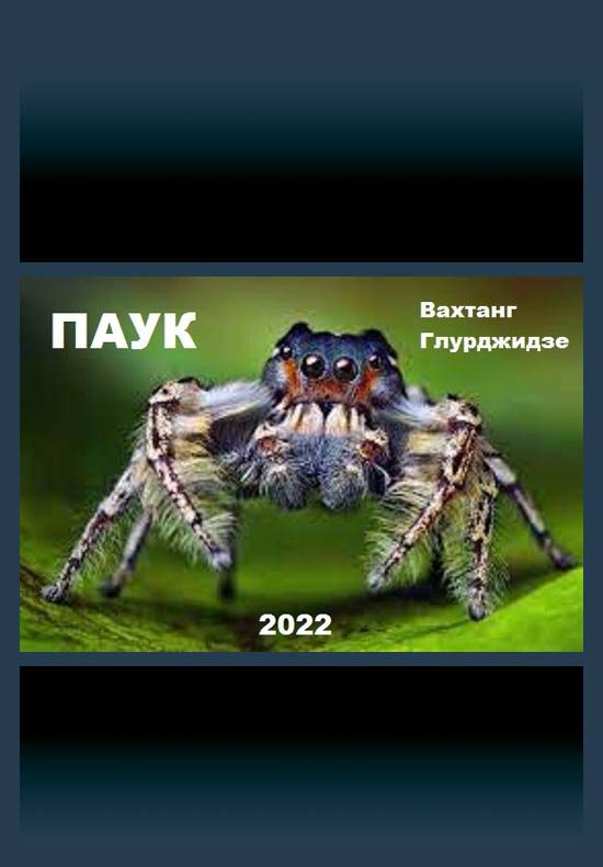 Обложка книги «Паук 1»