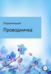 Обложка книги «Проводничка»