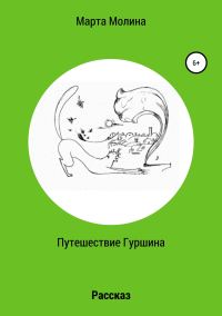 Обложка книги «Путешествие Гуршина»