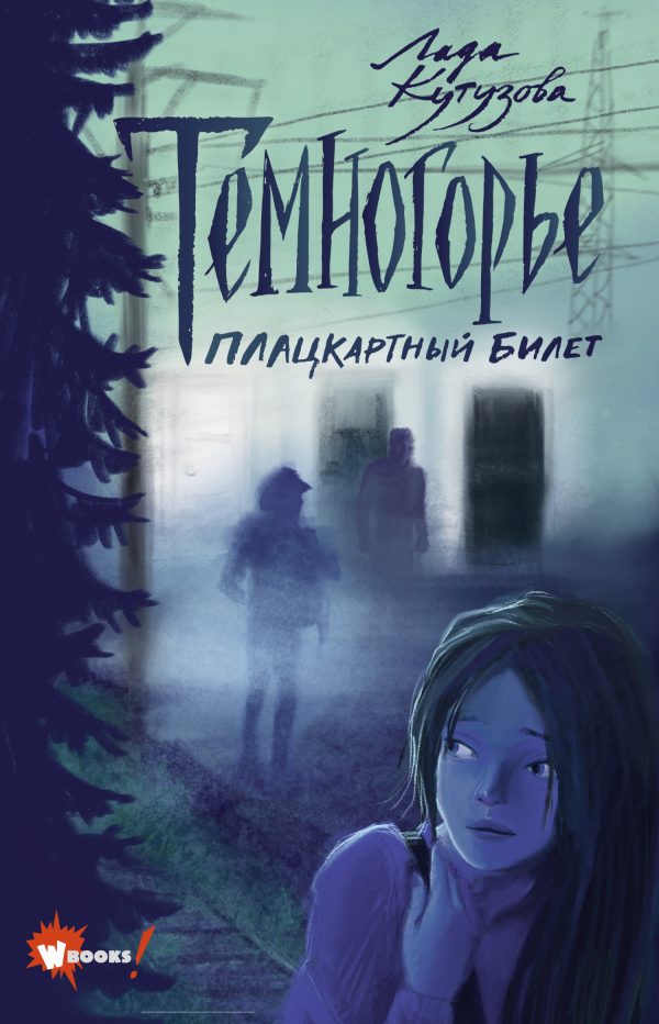 Обложка книги «Плацкартный билет»