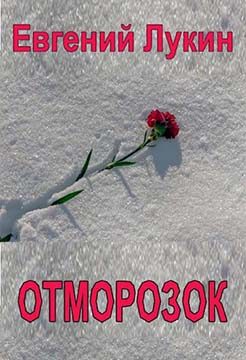 Обложка книги «Отморозок»