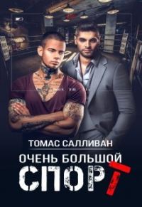 Обложка книги «Очень большой спорт»