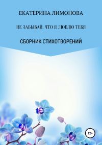Обложка книги «Не забывай, что я люблю тебя»