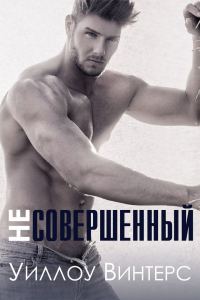 Обложка книги «Несовершенный»