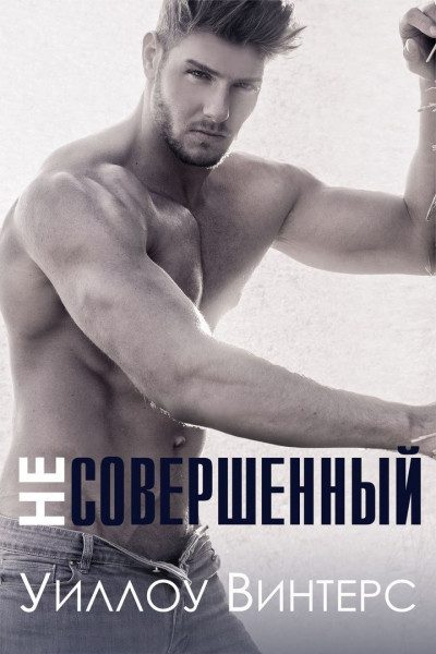 Обложка книги «Несовершенный»