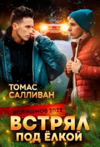 Обложка книги «Встрял под ёлкой»