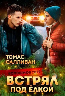 Обложка книги «Встрял под ёлкой»