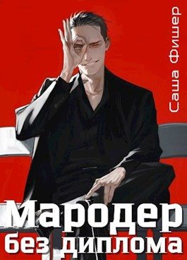 Обложка книги «Мародер без диплома»