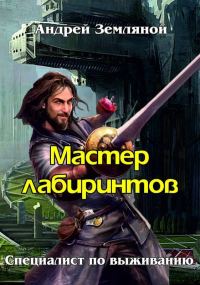 Обложка книги «Мастер лабиринтов»