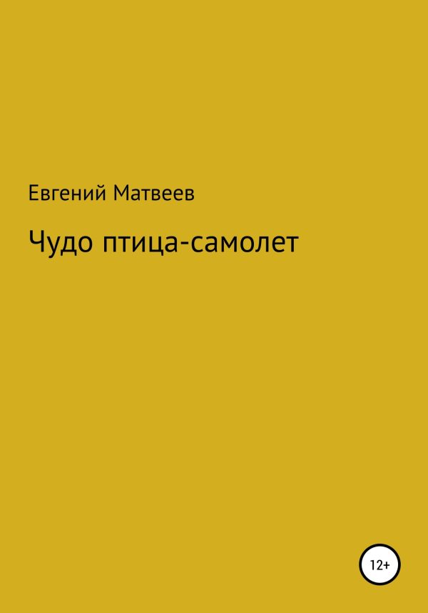 Обложка книги «Чудо птица-самолет»