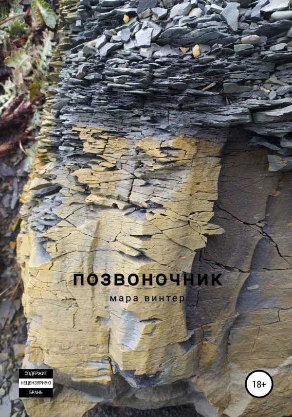 Обложка книги «Позвоночник»