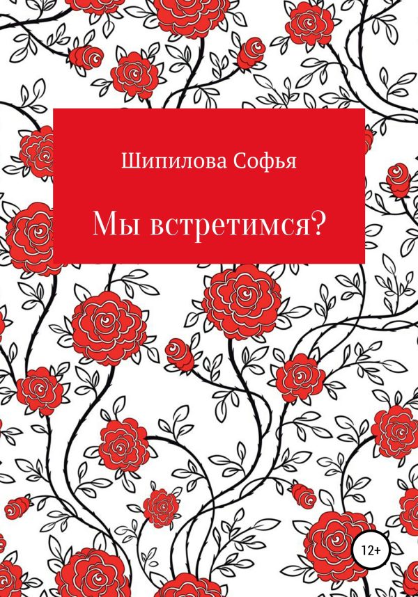 Обложка книги «Мы встретимся?»