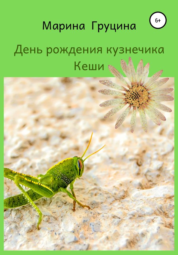 Обложка книги «День рождения кузнечика Кеши»