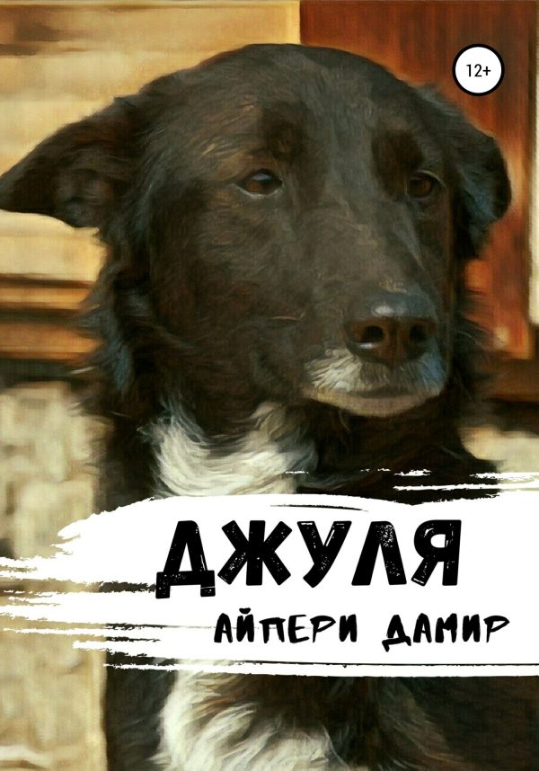 Обложка книги «Джуля»