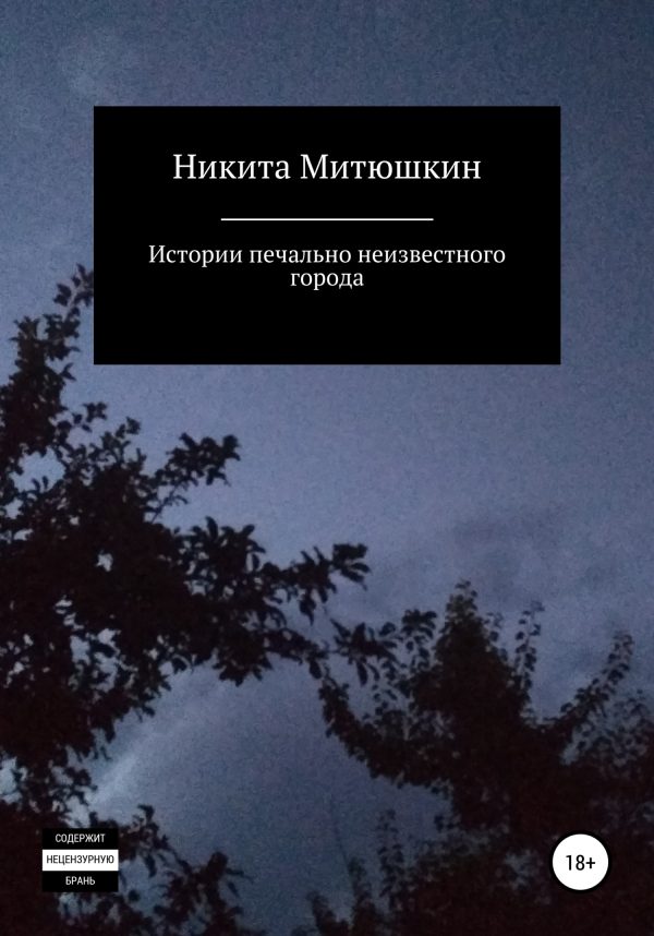 Обложка книги «Истории печально неизвестного города»