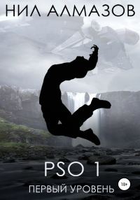 Обложка книги «PSO 1. Первый уровень»