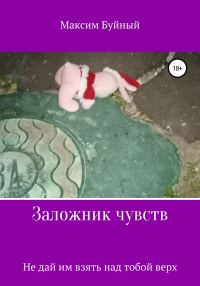 Обложка книги «Заложник чувств»